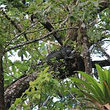 Costa Rica20150403-1402-0834